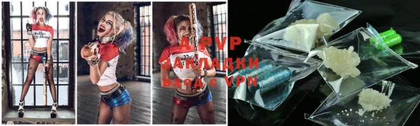 ешки Новодвинск