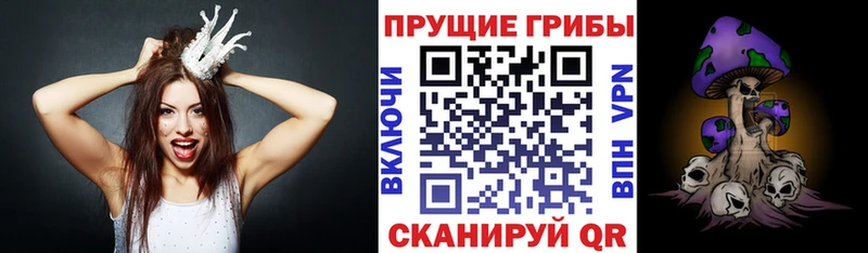 Галлюциногенные грибы ЛСД Юрга